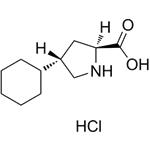 trans-4-Cyclohexyl-L-proline hydrochloride