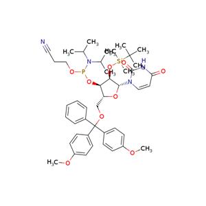 Dmt-2'-O-tbdms-ru amidite