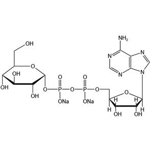 Adenosine-5’-diphosphoglucose disodium salt (ADPG-Na2)