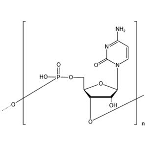 Polycytidylic acid sodium salt (PC)