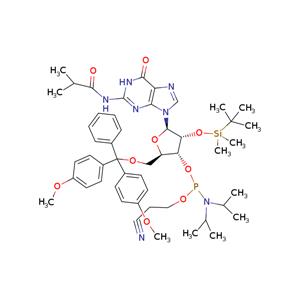 DMT-2'O-TBDMS-rG(ib) Phosphoramidite