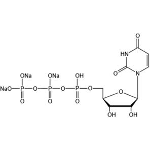 Uridine 5’-triphosphate trisodium salt(UTP-Na3)