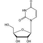 Uridine（UR）