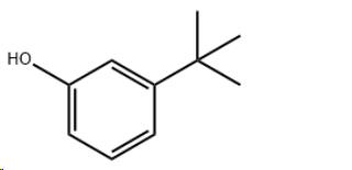 3-tert-Butylphenol