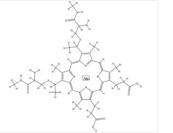 Cytochrome C structure