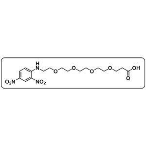 DNP-PEG4-COOH