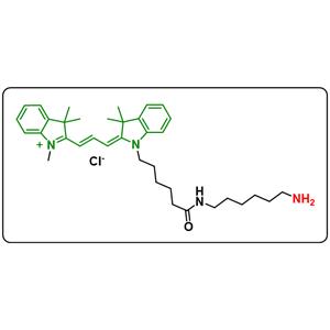 Cyanine3 amine