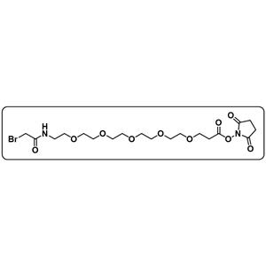 BrCH2CONH-PEG5-NHS ester