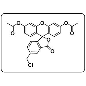 Cellhunt Green CMFDA [5-Chloromethylfluorescein Diacetate]