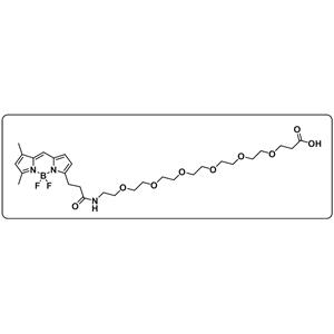 BODIPY FL-PEG6-COOH