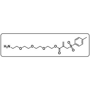 NH2-PEG4-IC