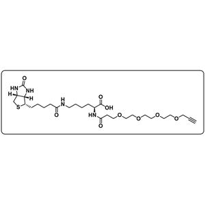 N-(Propargyl-PEG4)-biocytin