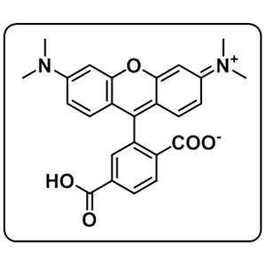 6-Carboxytetramethylrhodamine