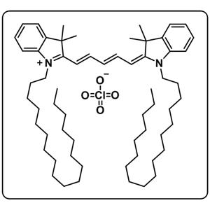 1,1'-DIOCTADECYL-3,3,3',3'-TETRAMETHYLINDODICARBOCYANINE PERCHLORATE