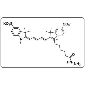 diSulfo-Cy5 hydrazide