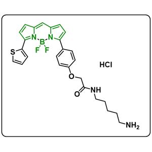 BODIPY TR Cadaverine