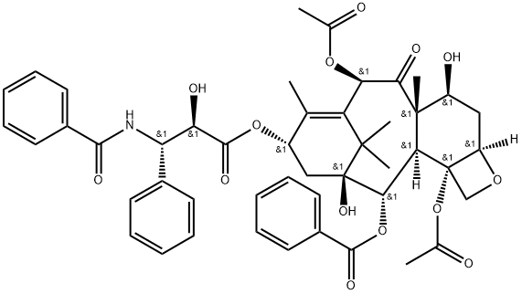 			Paclitaxel