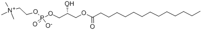 	1-MYRISTOYL-SN-GLYCERO-3-PHOSPHOCHOLINE