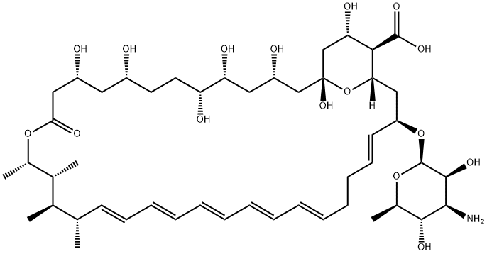 Amphotericin B