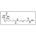 Biotin-PEG1-hydrazide