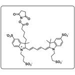 AF 647 NHS ester