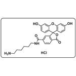 FAM amine,6-isomer