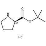 D-Pro-Otbu.Hcl