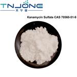 Kanamycin Sulfate