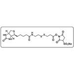 Biotin-SS-Sulfo-NHS ester