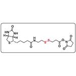 Biotin-SS-NHS ester