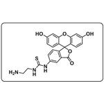 5-FITC-C2-amine