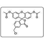 Cellhunt Green CMFDA [5-Chloromethylfluorescein Diacetate]