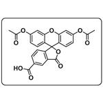 5-diacetate FAM