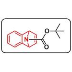 7-tert-Butoxycarbonyl-2,3-benzo-7-azabicyclo[2.2.1]hepta-2,5-diene