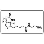 Biotin-EA