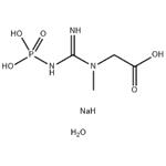 CREATINE PHOSPHATE DISODIUM SALT TETRAHYDRATE