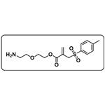 NH2-PEG2-IC