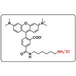 5-TAMRA amine