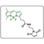 BDP FL maleimide