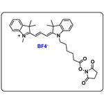 Cyanine3 NHS ester (BF4)