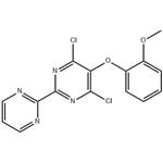 4,6-Dichloro-5-(2-methoxyphenoxy)-2,2'-bipyrimidine