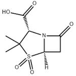 	Sulbactam