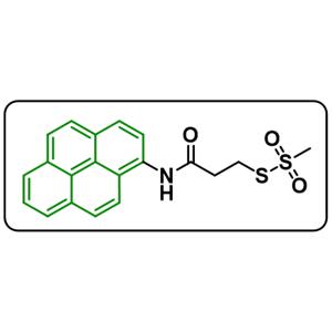 Pyrene-ACE-MTS [2-(Pyren-1-ylaminocarbonyl)ethyl methanethiosulfonate]