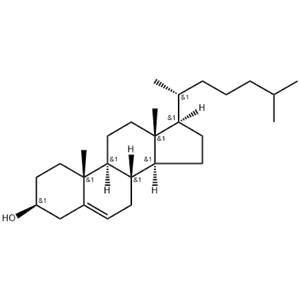 	Cholesterol