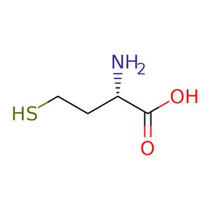 H-hCys-OH