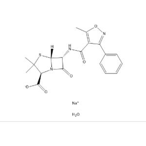 Oxacillin sodium monohydrate