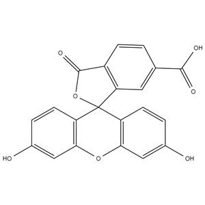 6-Carboxyfluorescein