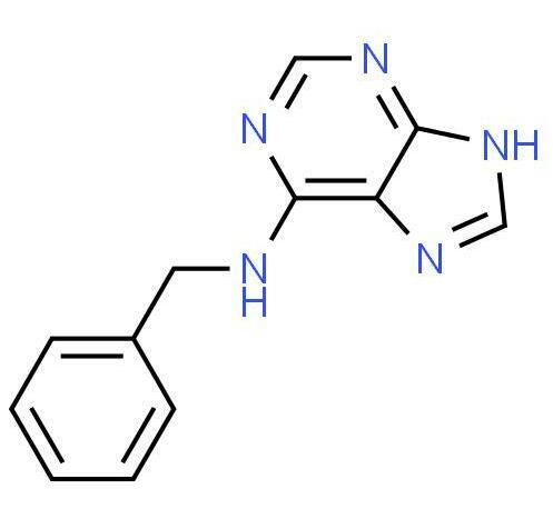 6-Benzylaminopurine