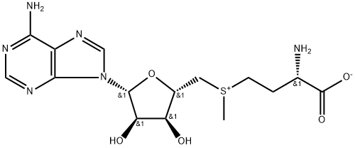 S-Adenosyl-L-methionine