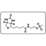 MTSEA-Biotin [N-Biotinoylaminoethyl methanethiosulfonate]